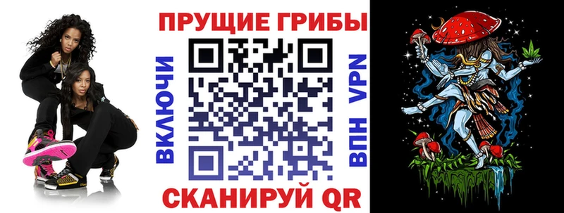 Галлюциногенные грибы GOLDEN TEACHER  дарнет шоп  Чегем 