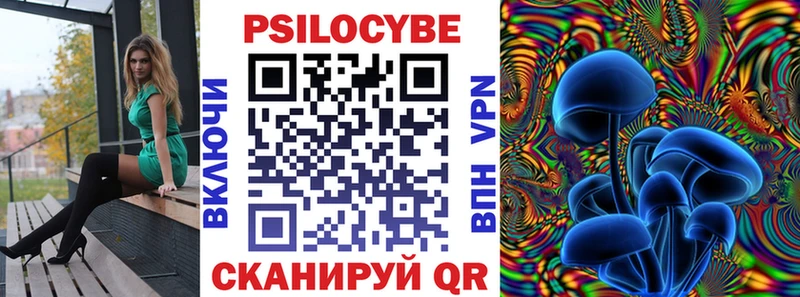 Псилоцибиновые грибы Psilocybe Чегем